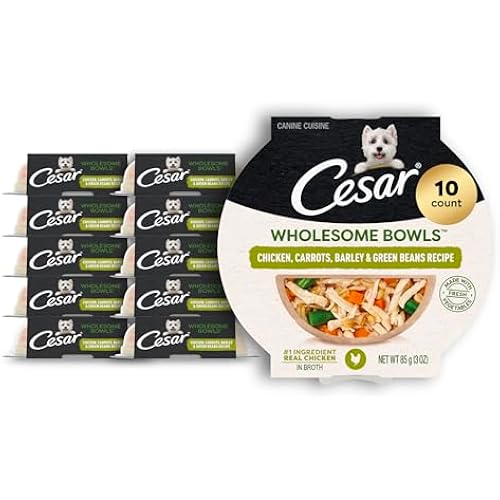 Cesar Wholesome Bowls Wet Dog Food, Chicken & Green Beans, 3 oz, 10 Count