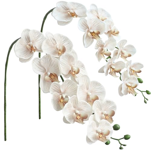 Floroom 2pcs Faux Phalaenopsis Orchid Fake Artificial Flower with Stems Real Touch Large Blooms 40 Inch for DIY Bouquets Wedding Centerpieces & Home Decor Warm Beige