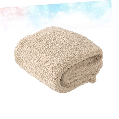 Couverture coussin tapis de couchage peluche chat chien lavable beige