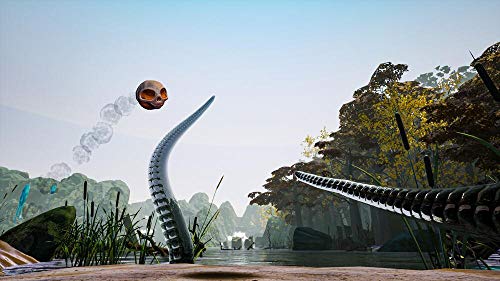 Skully Xbox One - vue 8