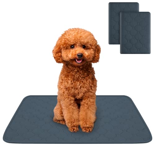 LiteBee Waschbare Pee Pads Für Hunde, Welpenunterlagen Hunde PIPI Mattenwiederverwendbare Haustier Urin Pad Hunde Trainingspad, Saugfähige Welpen Matte Mit Rutschfester Unterseite, 50 * 35cm, XS Cover