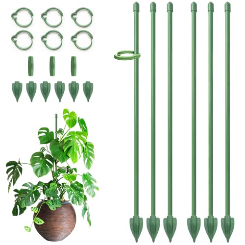 Pflanzenstütze, RIFNY 30cm Staudenhalter Rankhilfe Zimmer mit Clips, Einstellbar Pflanzenhalter für Monstera Orchideen Tomaten Rosen und Blumen (6 Stück, Grün)