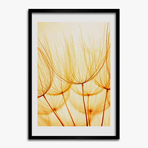 Affiche pissenlit et cadre en bois 40x60 cm pour réveiller un mur blanc