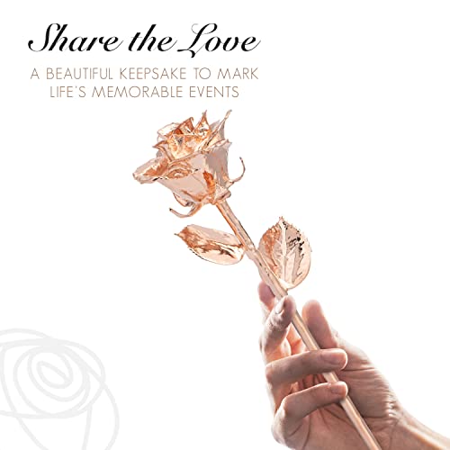 Image of Forever Rose Real Rose Dipped in Rose Gold, Acrylic Heart Vase