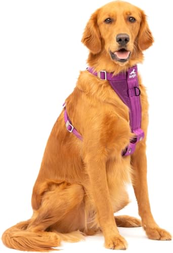 Kurgo Enhanced Strength Tru-Fit Dog Car Harness - Pet Travel Safety Harness - Crash Test Certified Fit - Five Point Adjustment - Secure Buckle - Padded Chest - Deep Violet - Medium