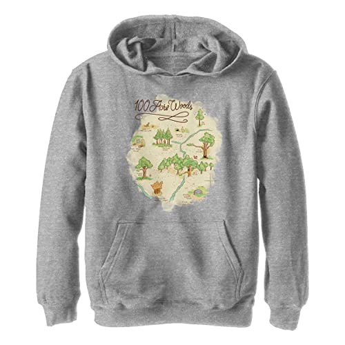 Disney Boys' 100 Acre Map Hoodie