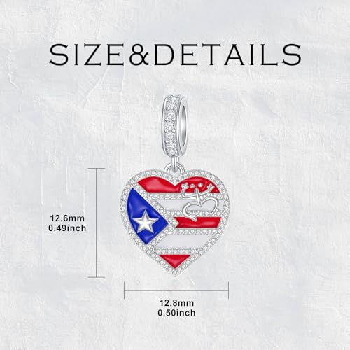 Puerto Rico Charms for Bracelet 925 Sterling Silver Coqui Frog Flag Jewelry Hometown Puerto Rico Gifts for Women4