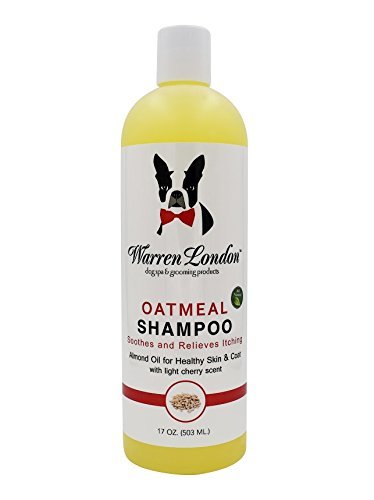 Warren LondonOatmeal Shampoo for Dogs