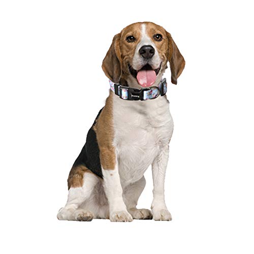Ihoming Dog Collar And Leash Set For Daily Outdoor Walking Running Training, Floral Sky Design For Medium Boys Girls Dogs Cats Pets, M-Up To 45Lbs #TOP5
