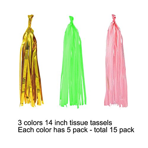 Wartoon 33 Pezzi Festa Decorazioni di Carta Velina...