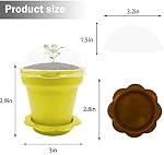25 Packs Cupcake Plant Nursery Pots with Humidity Dome - 3" Flower Pots with with Lids & Trays - Planting Containers Cups for Indoor Outdoor Plant Succulent Display (Mixed Color)
