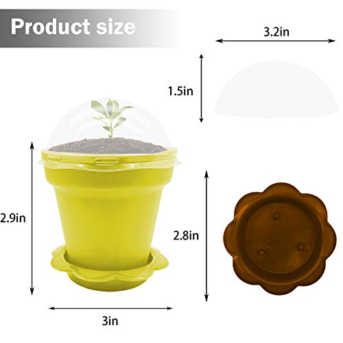 Purple Star 1N 25 Pack Cupcake Plant Nursery Pots With Humidity Dome-Small Flower Pots For Kids-Planting Containers Cups For Indoor Outdoor Plant Succulent Display (Multicolor) #TOP2