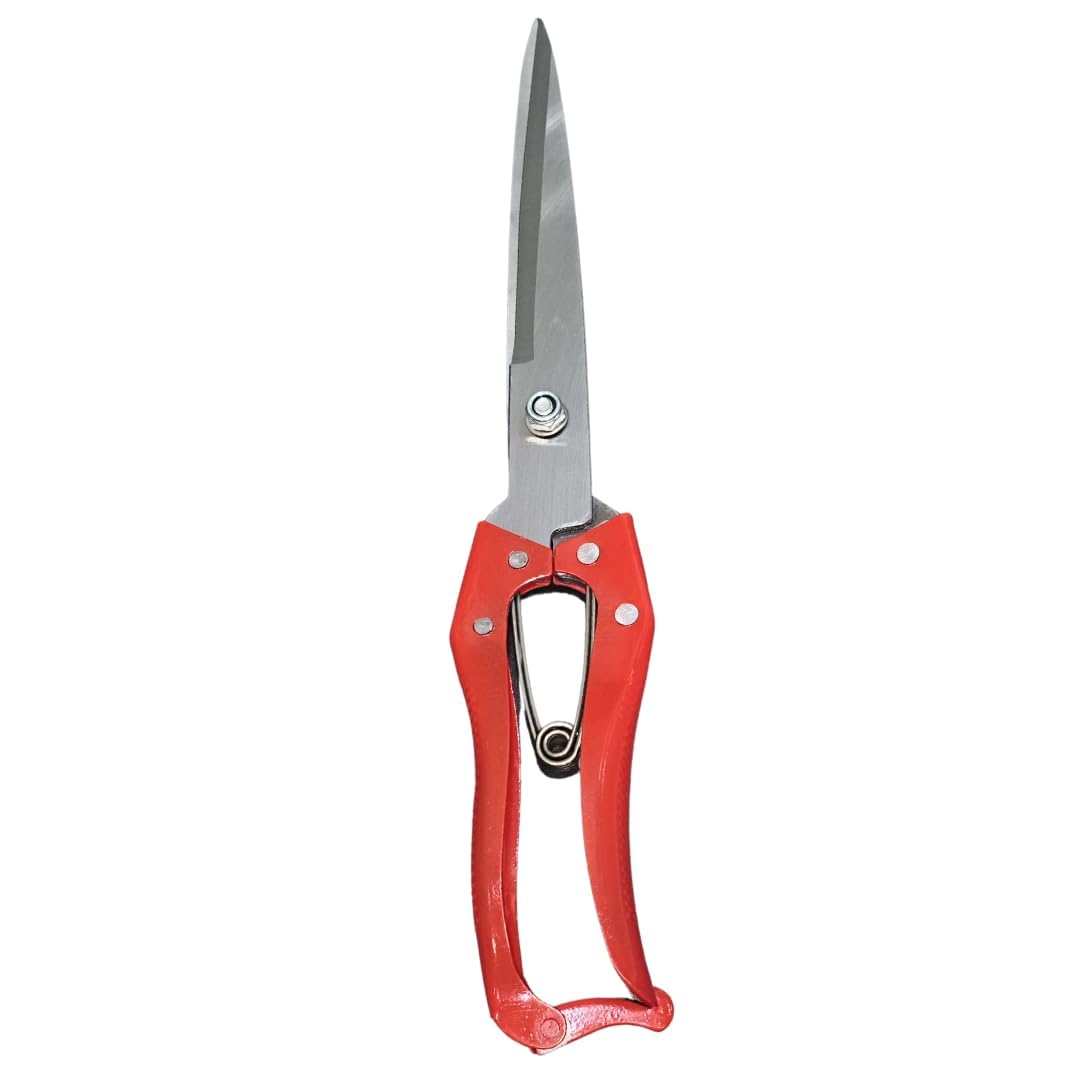 Multi-Purpose Red Garden Scissor & Sheep Wool Cutting Shears – Long Blade Hedge Trimming Scissors, Grass Cutting Tool, Bush Pruning Shears for Plants, Shrubs & Livestock Wool Shearing-image-31
