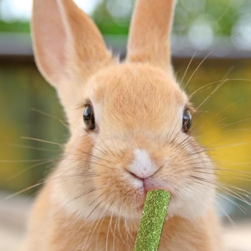 WeddHuis 20 Pcs Timothy Heu Sticks Kaninchen Spielzeug Kauspielzeug für Kaninchen Meerschweinchen Hamster Chinchilla Häschen Leckerli 3 Geschmacksrichtungen