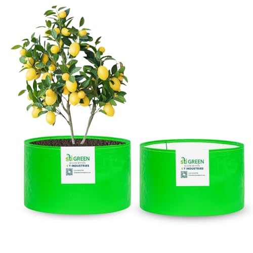 Image of HDPE Grow Bags for Plants 12X12 Inch (Pack of 2) | 260 GSM Heavy Duty UV-Protected Round Green Colour Plant Bags for Terrace and Vegetable Gardening | Strong & Reusable|