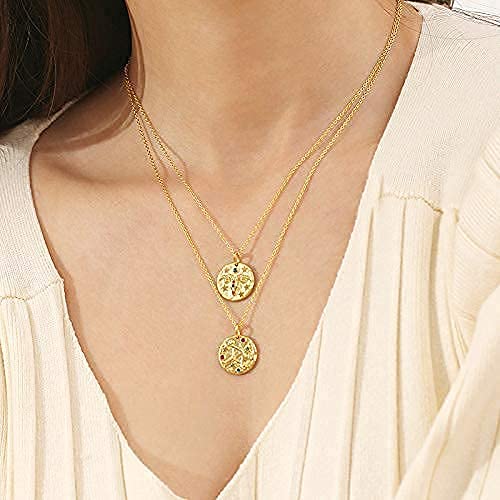 AGVANA 12 Constellation Necklace With Created Gem For Women Gold Plated Sterling Silver Jewelry Coin Pendant Jewelry Gift For Girlfriend Bestfriend Wife Her with Gift Box, 16+2 Inch, Capricorn - Image 6