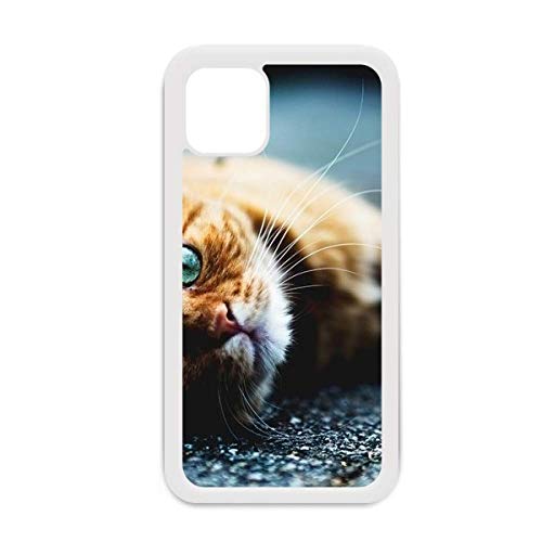 Coque iPhone 12 Pro Max chat œil bleu protège l'objectif photo des rayures et chutes accidentelles