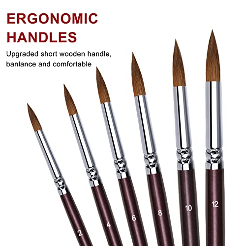 Kolinsky Watercolor Brush Set Pure Kolinsky Sable Hair Pointed Round Art Paintbrushes Premium 6 Pcs Round Tip Paint Brush Artist Acrylic Brush for Watercolor, Art Painting Gouache, Face Painting