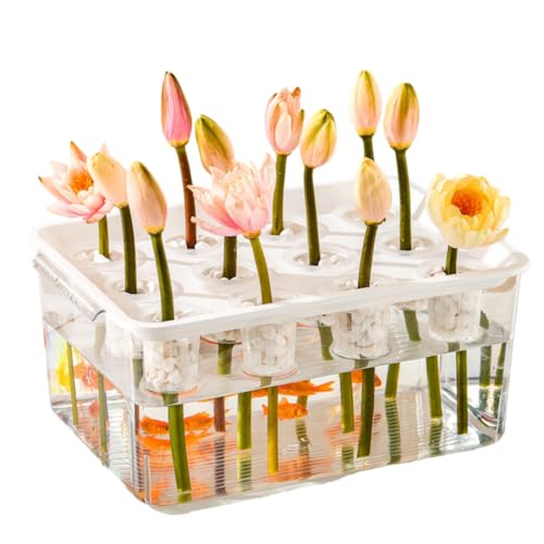 ZMBJy2025VoE12zk͔|{bNX k͔|VXe k͔|Lbg k|{ ysv c ؈琬 y|{{bNX ƒ؉ ͔| ŷȂ|{{bNX ėp\ lGKpfXNgbvsoillessvX`bN