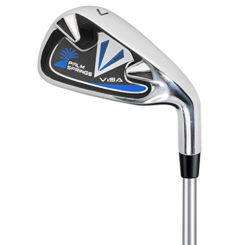 Palm Springs Golf Visa V2 Men's Graphite Club Set & Stand Bag