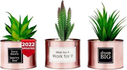 Office Decor for Women Desk- Rose Gold Decor Desk Plant for Books...