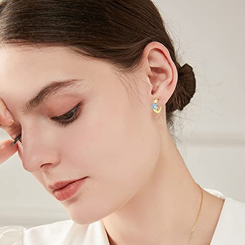 10K/14K18K Solid Gold Moissanite Hoop Earrings for Women Hypoallergenic Earrings for Sensitive Ears(1carat,D Color)2