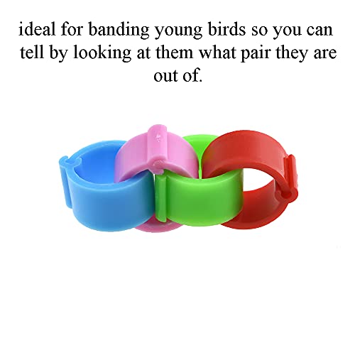 Yadaland 8Mm Diameter Bird Leg Rings Distinguish Instantly Fit Comfortable Apply Easily Flexible Plastic Track Poultry Clip On Bends Mixed Color 100 Pieces For Chicken Quail Duck Pigeons Lovebird #TOP5