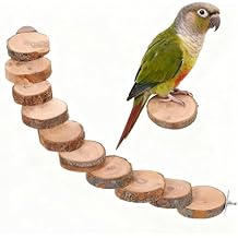Kisangel Natural Wood Bird Ladder for Cage - Bird Cage Ladder Flat Perches - Parrot Perch Stand Bridge for Small Cockatiel, Budgie, Parakeet Inside Exercise