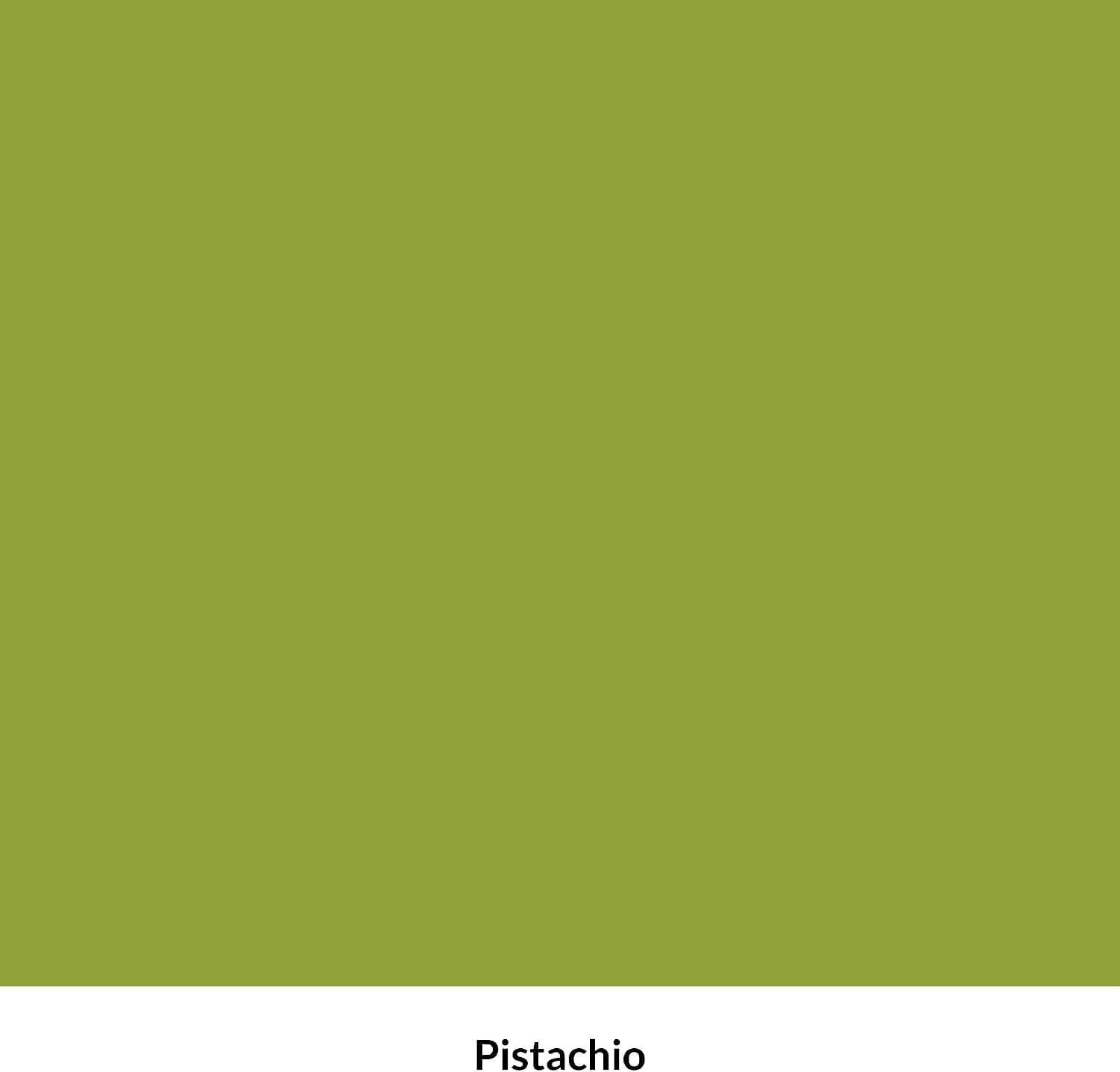 Dixie Belle Terra Clay Paint - Pistachio (16oz) - Citron Green Water-Based Terra Artisan Clay Paint for DIY Wood, Canvas, Tile, Fabric, Home