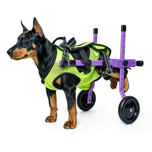 Dog Wheelchair for Back Legs Lightweight Wheelchair for Dogs Dog Wheels for Back Legs Adjustable Pet Wheelchair with Fecal Plastic Bag and Pet Urine Pads for Arthritis Injured or Disabled Dogs