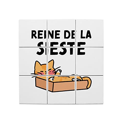 Carreaux Céramique Décoratif Chat pour Amoureux des Animaux