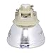 SpArc Platinum for Optoma BL-FP240E Projector Lamp (Original Philips Bulb)