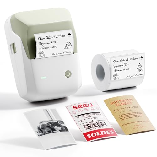 Machine à étiquettes 300 DPI NIIMBOT B1Pro pour notes et graphiques d'étude