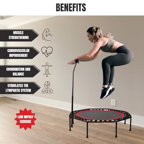 Trampoline Fitness Elastique pour Sauter de Ø90cm Pliable et Silencieux. Installation Facile, Octogonale pour Adultes,Enfants. Intérieur,Extérieur avec Accoudoirs Réglables en Mousse. – Image 4