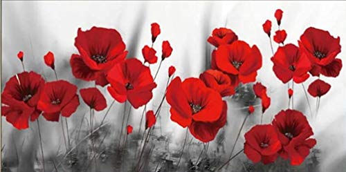 Surfilter Impression sur toile représentant des fleurs de coquelicots rouges - Décoration murale - 20 x 30 cm - Sans cadre Cover