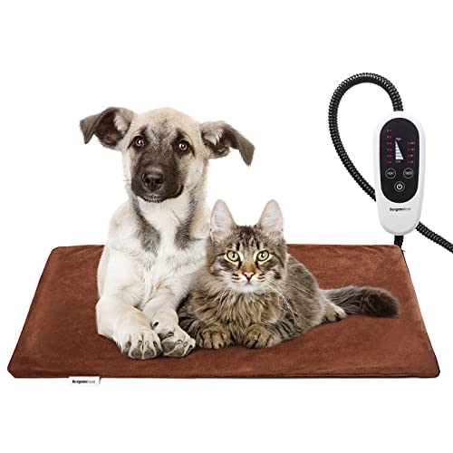 Heated Dog Beds The 15 best products compared Wild Explained