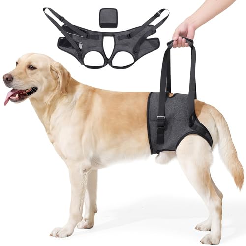Arnés para elevación de perros para las patas traseras, correa para perros en la parte trasera, correa de soporte de cadera para perros con arnés ajustable para apoyo rehabilitación, adecuado para