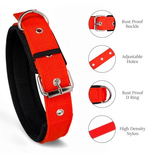 Image of Nylon Dog Collar for Large Dogs,Soft Padded Dog Belt Neck Collar,Dog Belt for Large Dogs Labrador,Golden Retriever,Pitbull,German Shepherd,Husky,Doberman (RED,L),23.5 inch