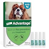 Advantage Spot On Flea Treatment For Medium Dogs 4 - 10 kg (4 pipettes, 100mg), Kills Fleas Within 24 Hours, Prevents Further Infestation For Up To Four Weeks