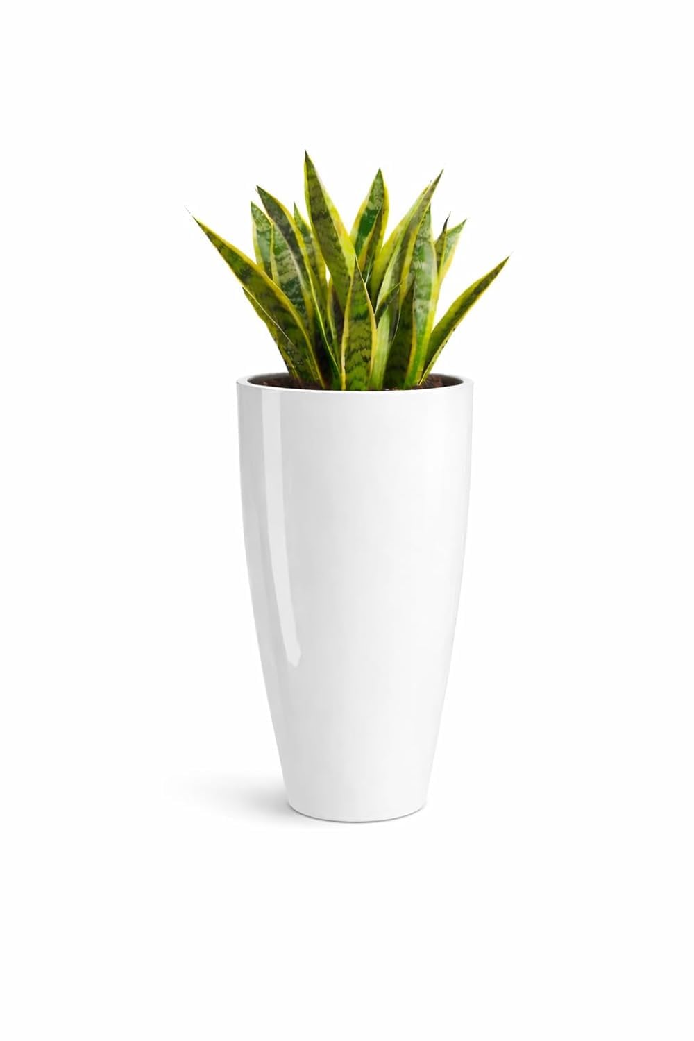Home Decor –14 Inch Large Plastic Pot for Indoor & Outdoor Plants, Flower Pots for Home & Office Decoration White (Set of 1)-image-35