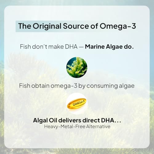 Image of Miduty Veg Omega-3 500mg | 40% Algal DHA + EPA | High-Potency Plant-Based Omega-3 | No Fish Oil, No Fishy Burps | Veg Capsules for Men & Women - 30 Capsules