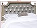 Safavieh Home Collection Tufted Velvet Rustic Oak and Grey Headboard (Queen)