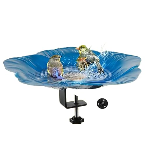 Bain d'oiseaux extérieur pour protéger la faune de votre balcon ou cour - 7