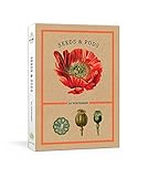 Seeds and Pods: 24 Postcards (New York Botanical Garden)