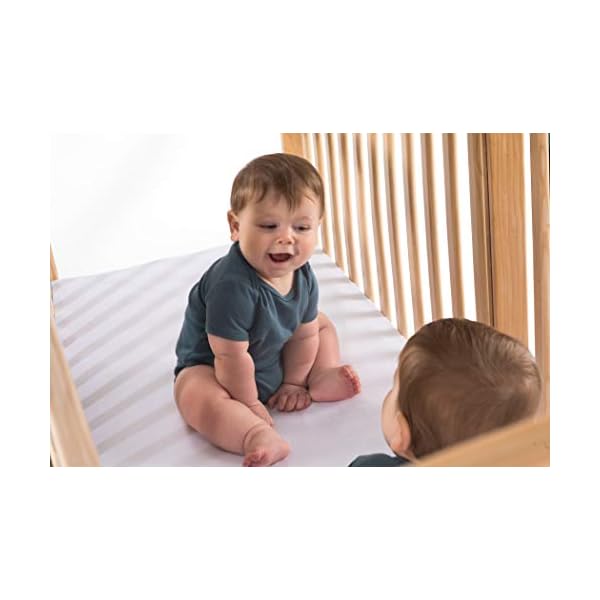 Foundations serenity safereach side compact crib nonmarking commercial casters low profile solid steel frame adjustable mattress board mirrorview end panel natural wood  urban country home decor