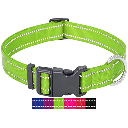 DEY - Premium Hundehalsband Nylon, Reflektierend, Verstellbar, für Kleine u. Große Hunde, viele Farben u. Größen, Hund Welpe, Hunde-Halsbänder, Katzen-Halsband, Welpen-Halsband, Grün, S