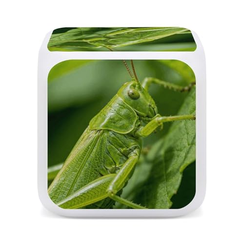 Reloj despertador verde de insectos LED para decorar el dormitorio infantil 5