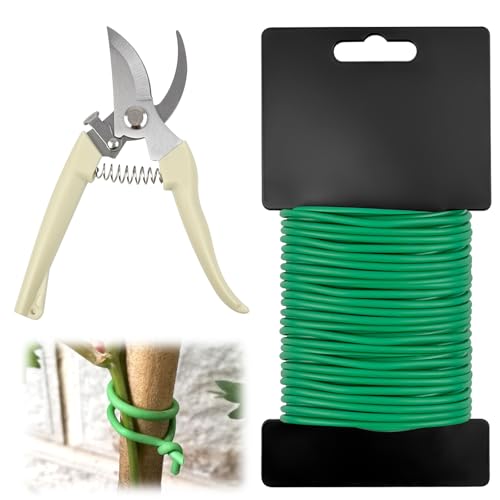 How many trusses on a tomato plant How many trusses on a tomato plant