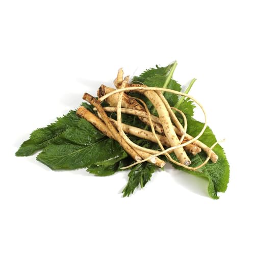 semi freschi di rafano, biologici, antiche varietà, selvatiche, 150pcs