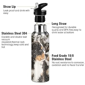 Bernese Mountain Dog Water Bottle Kids Insulated Thermos for Boys Girls Stainless Steel Straw Lid 20 oz Hot Cold Water Flask School Sport Bernese Mountain Dog Water Bottle Kids Insulated Thermos for Boys Girls Stainless Steel Straw Lid 20 oz Hot Cold Water Flask School Sport